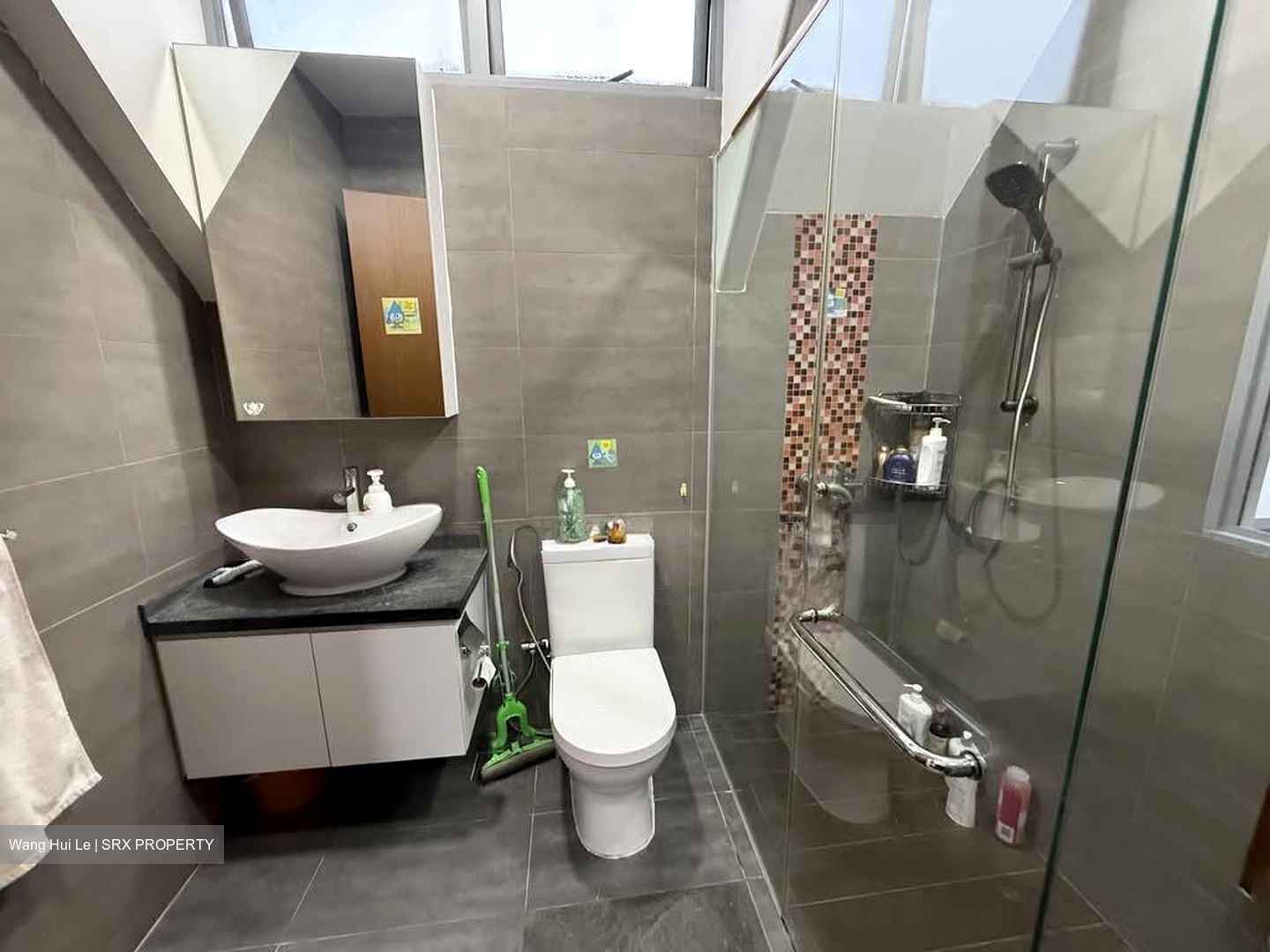 D'Zire (D19), Apartment #559408551